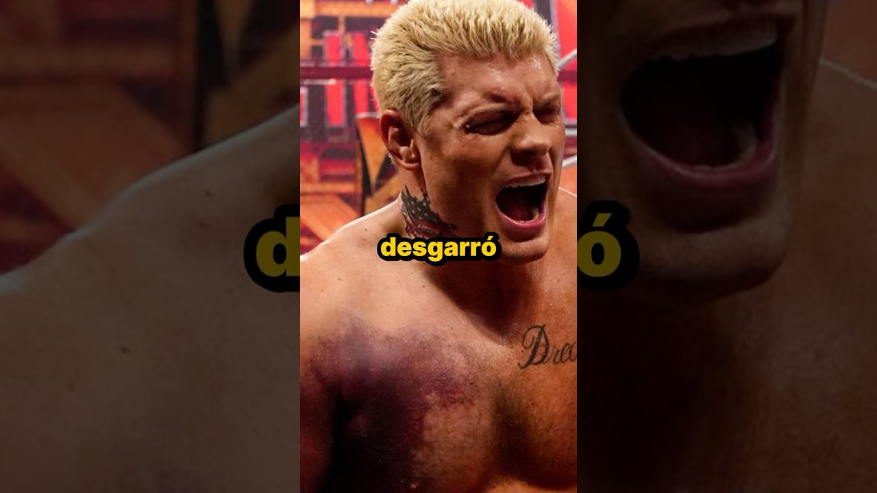 tratamiento que se da al sumo pontifice cody