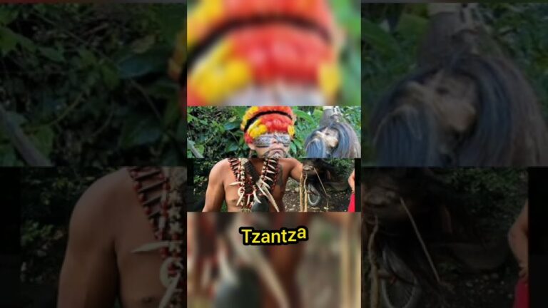 tribu que reduce las cabezas de los vencidos